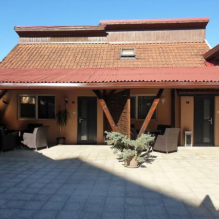 Irina Apartments Timișoara Zewnętrze zdjęcie