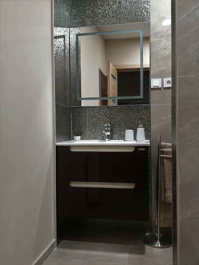 Irina Apartments Timișoara Zewnętrze zdjęcie