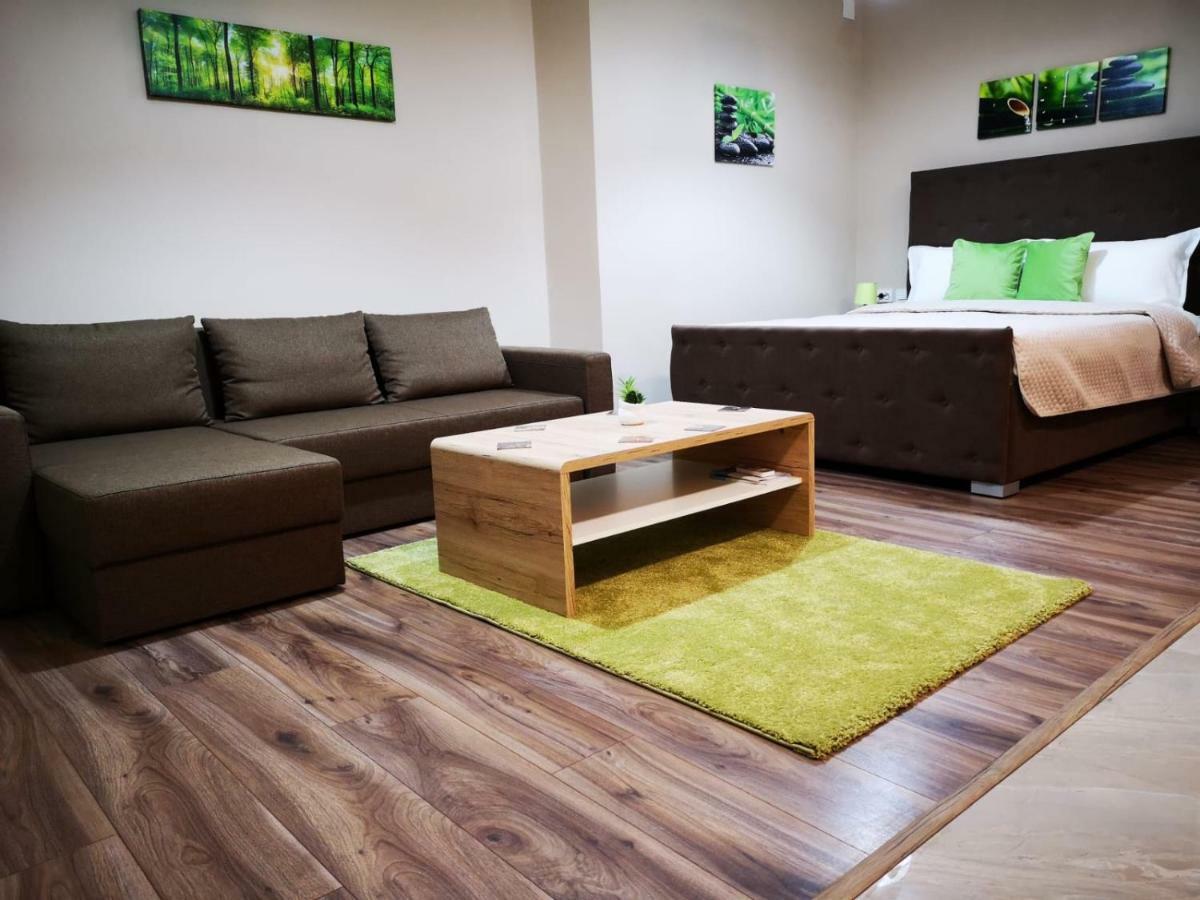 Irina Apartments Timișoara Zewnętrze zdjęcie